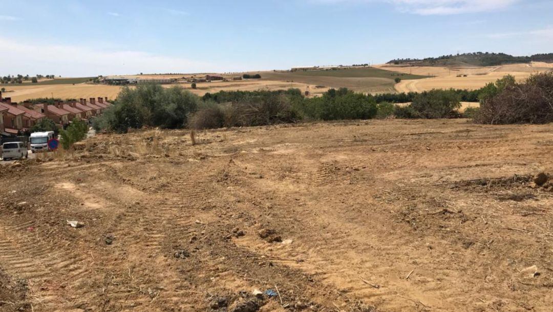 Imagen de la finca tras la tala de los árboles