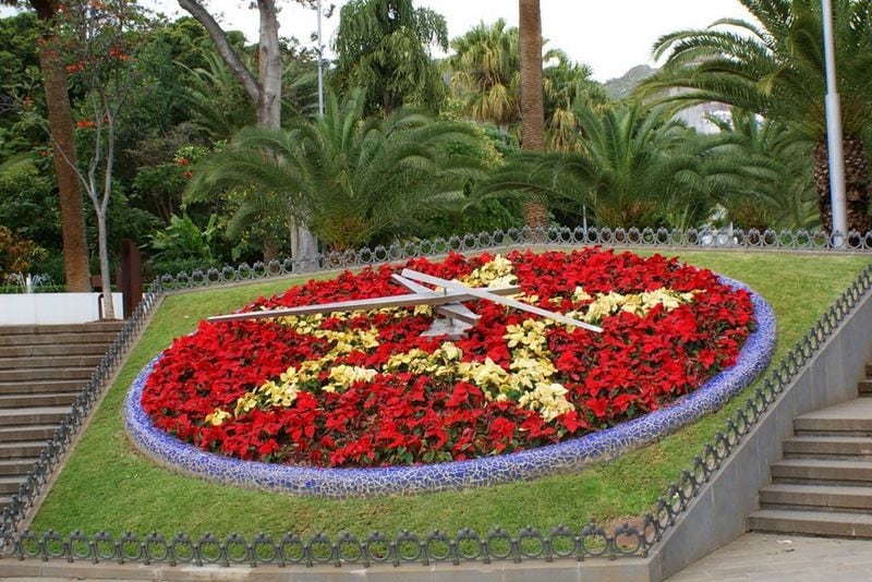 Parque García Sanabria, en Santa Cruz de Tenerife