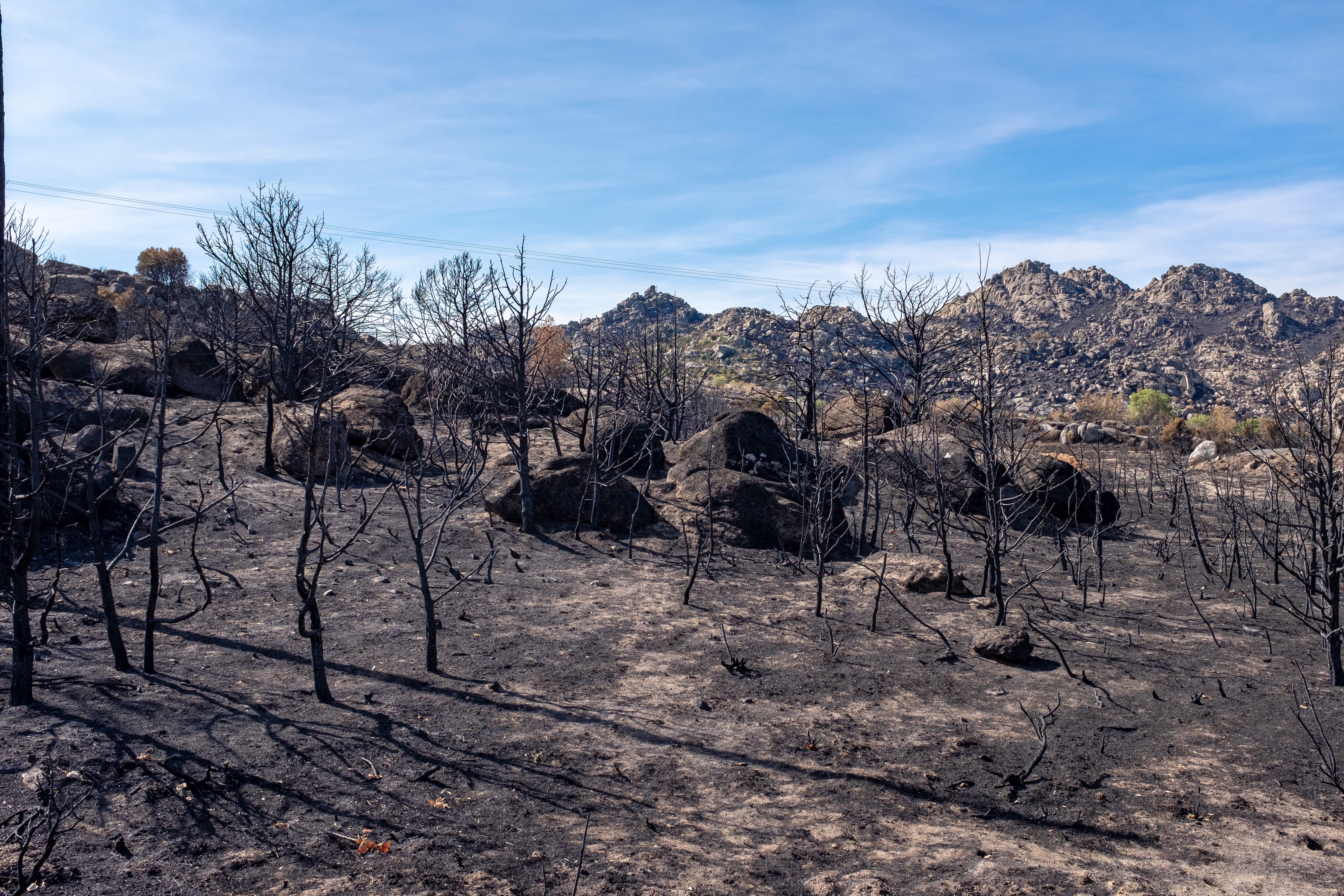 La lucha contra los incendios es una competencia compartida de las administraciones públicas