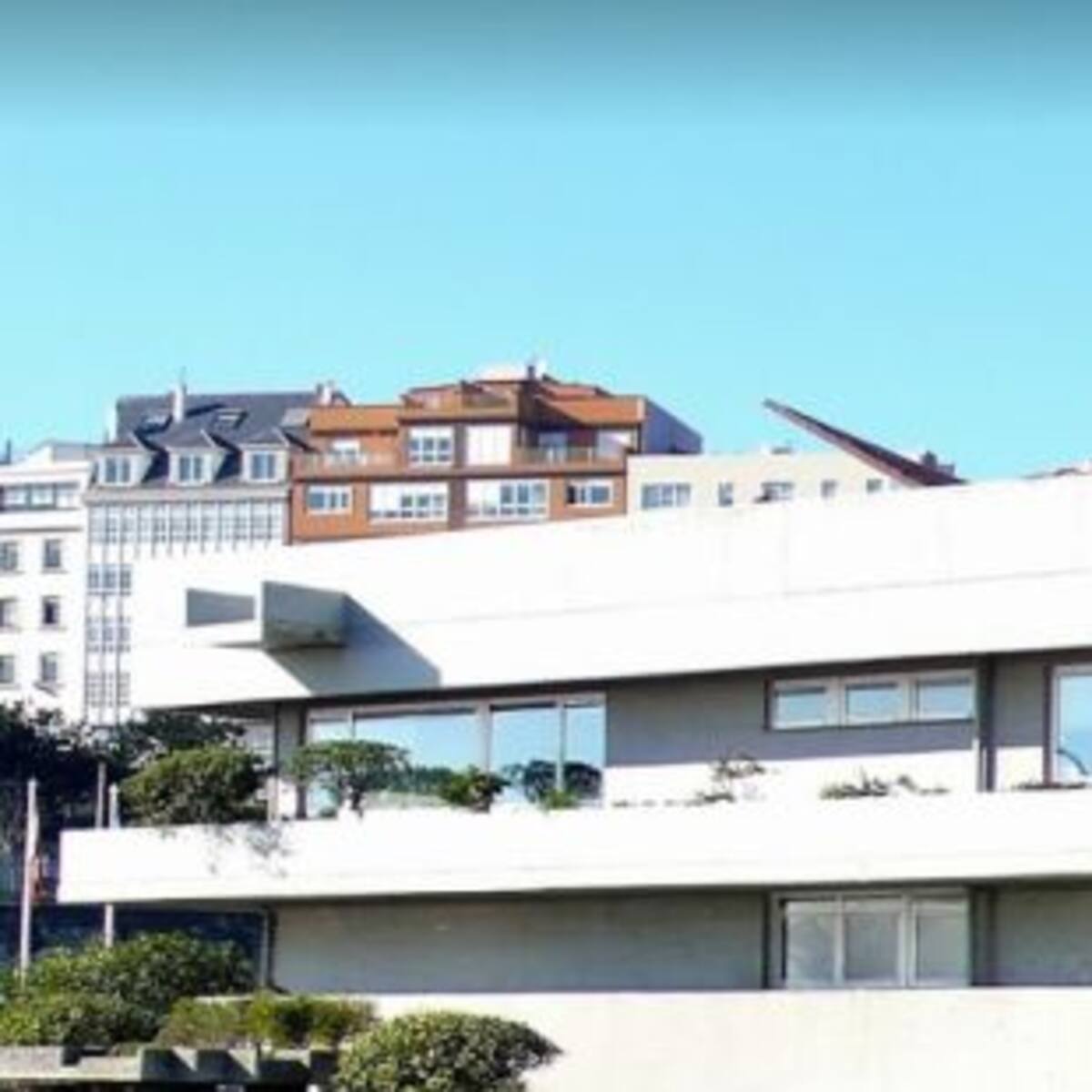 Investigaciones y campañas de divulgación paralizadas en el Oceanográfico