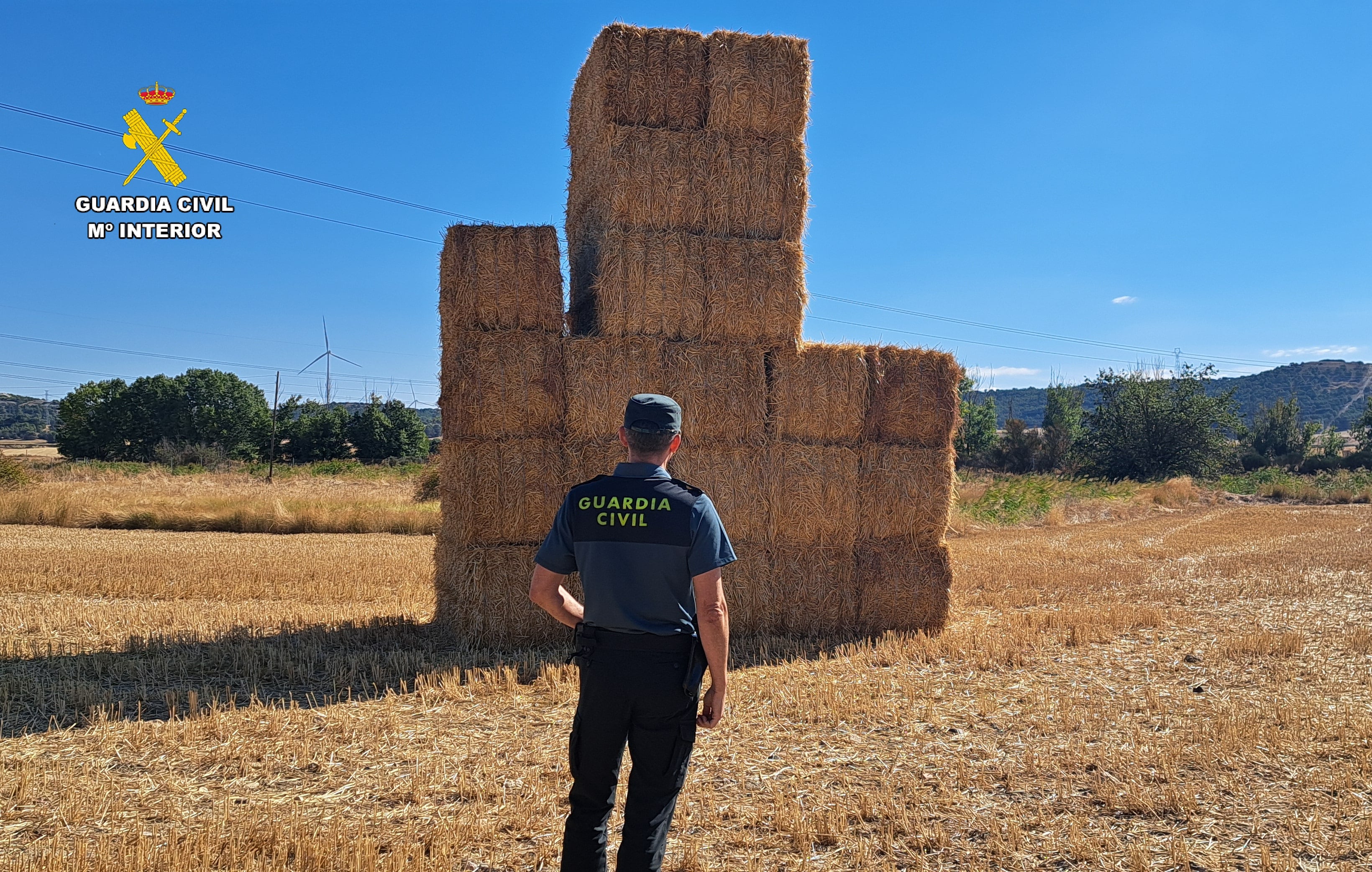Investigado por sustraer 80 toneladas de paja a un agricultor en Paredes de Nava