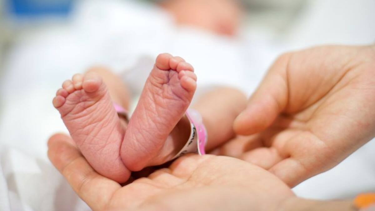 "¿Quién soy yo?" El impacto psicológico y el limbo legal de los bebés robados - Hora 14 Aragón (28/04/2024)