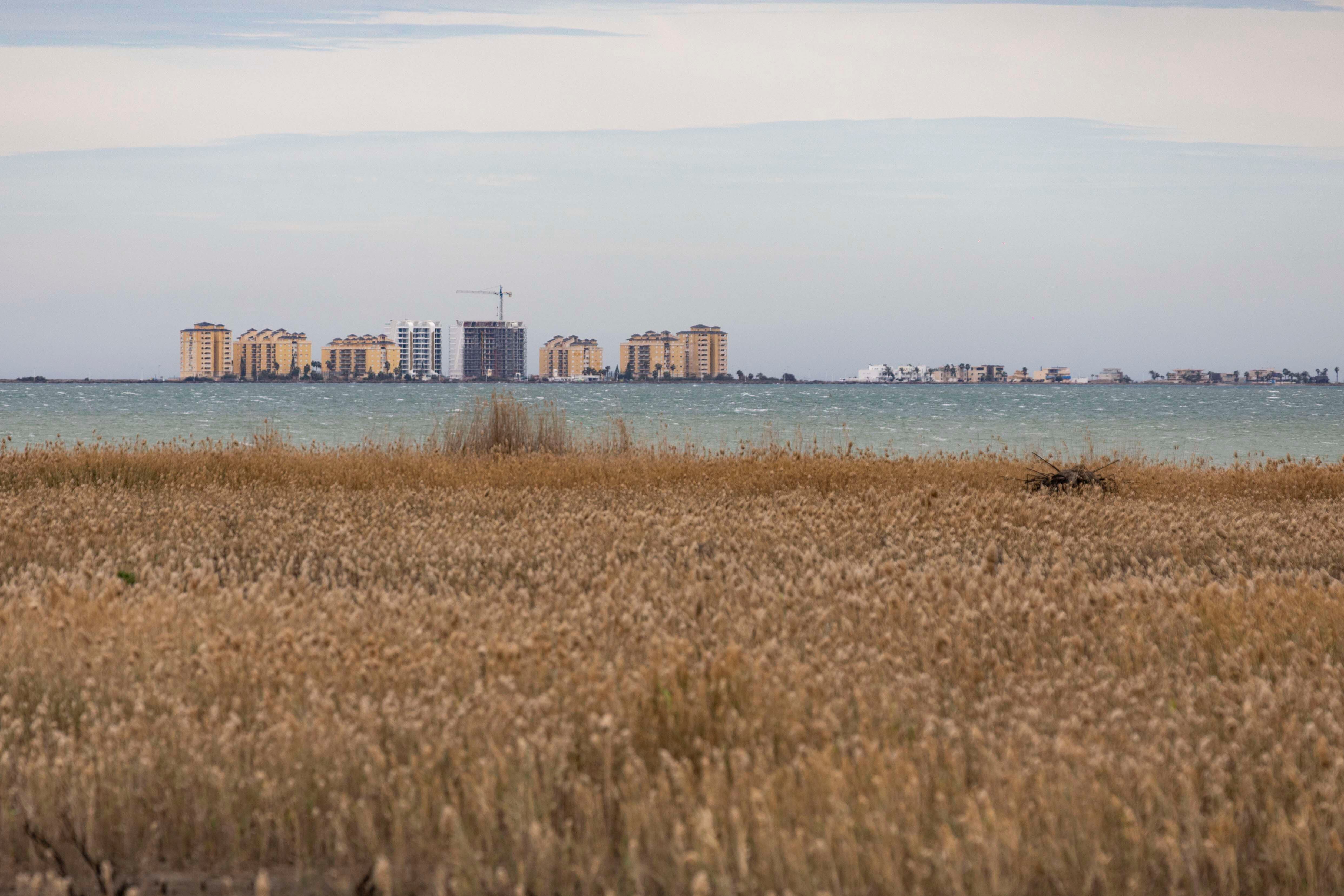 SAN JAVIER (MURCIA), 02/02/2026.- Vista del Mar Menor (Murcia) este lunes. Ecologistas en Acción ha pedido este lunes, con motivo del Día Mundial de los Humedales, medidas para la protección y restauración de este tipo de espacios en la Región de Murcia, al tiempo que ha reclamado actualizar el Catálogo Regional, con más de 50 enclaves, para su incorporación al Inventario Español de Zonas Húmedas, que reúne más de 2.000 espacios en el país. EFE/ Marcial Guillén