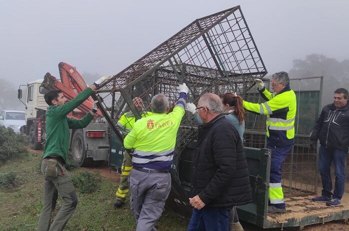 Instalación de una jaula para jabalíes