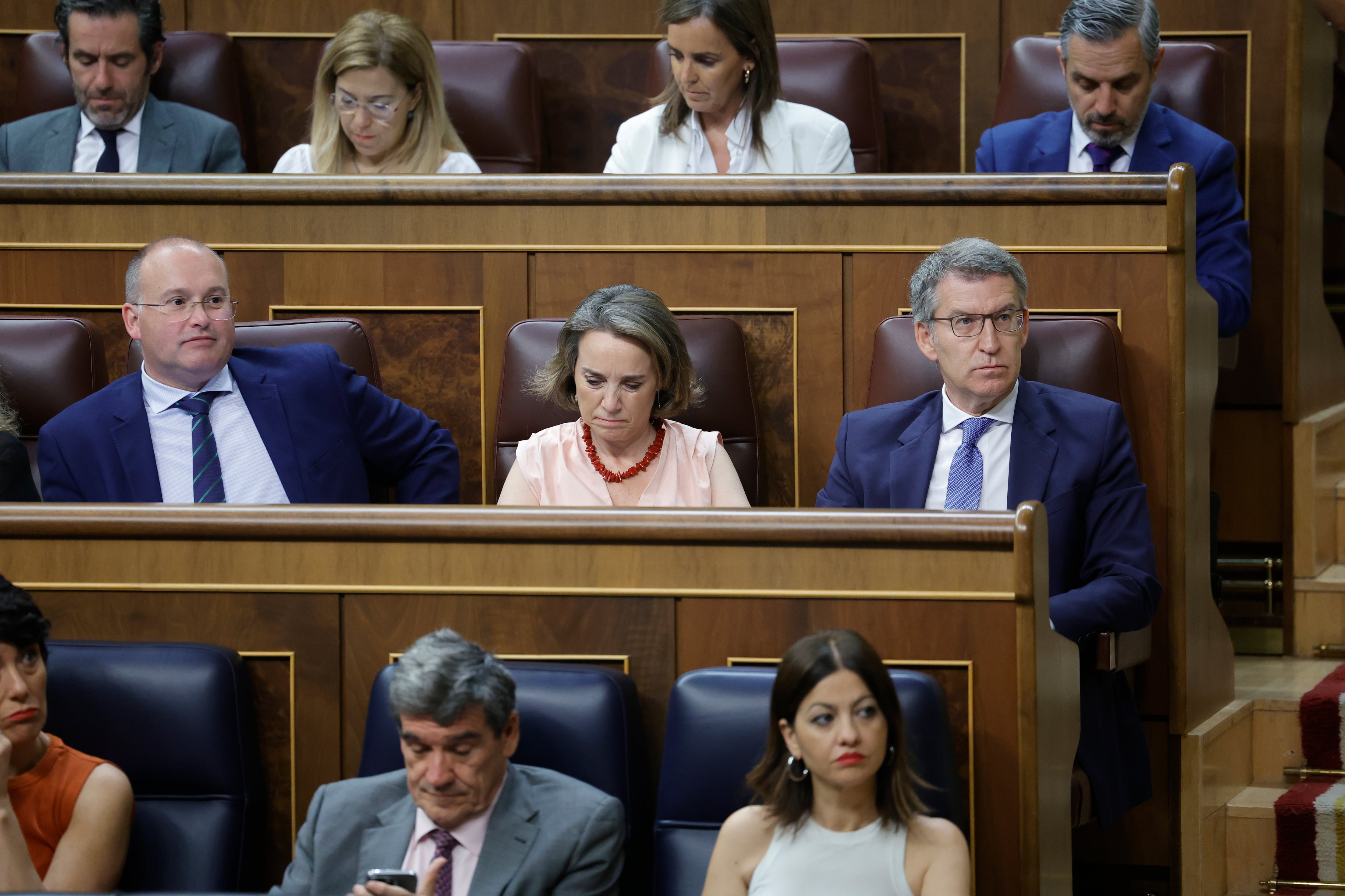 La bancada del PP en el Congreso.