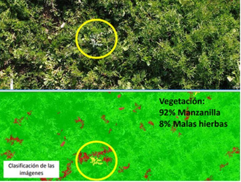 Imagen tomada en el trabajo de investigación