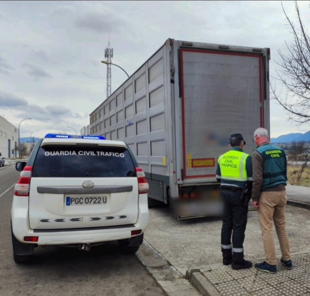 Con motivo de los hechos acaecidos, el GIAT investigó al conductor como supuesto autor de un delito de falsedad documental, siendo un varón de 47 años y de nacionalidad holandesa.