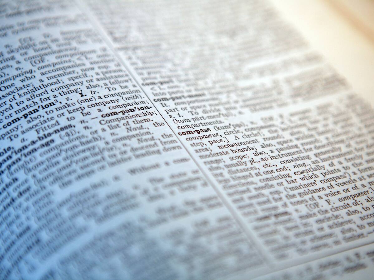 La cançó més especial de la Mushkaa, les novetats al DIEC i l'actriu Ania Guijarro a "La Mesías"