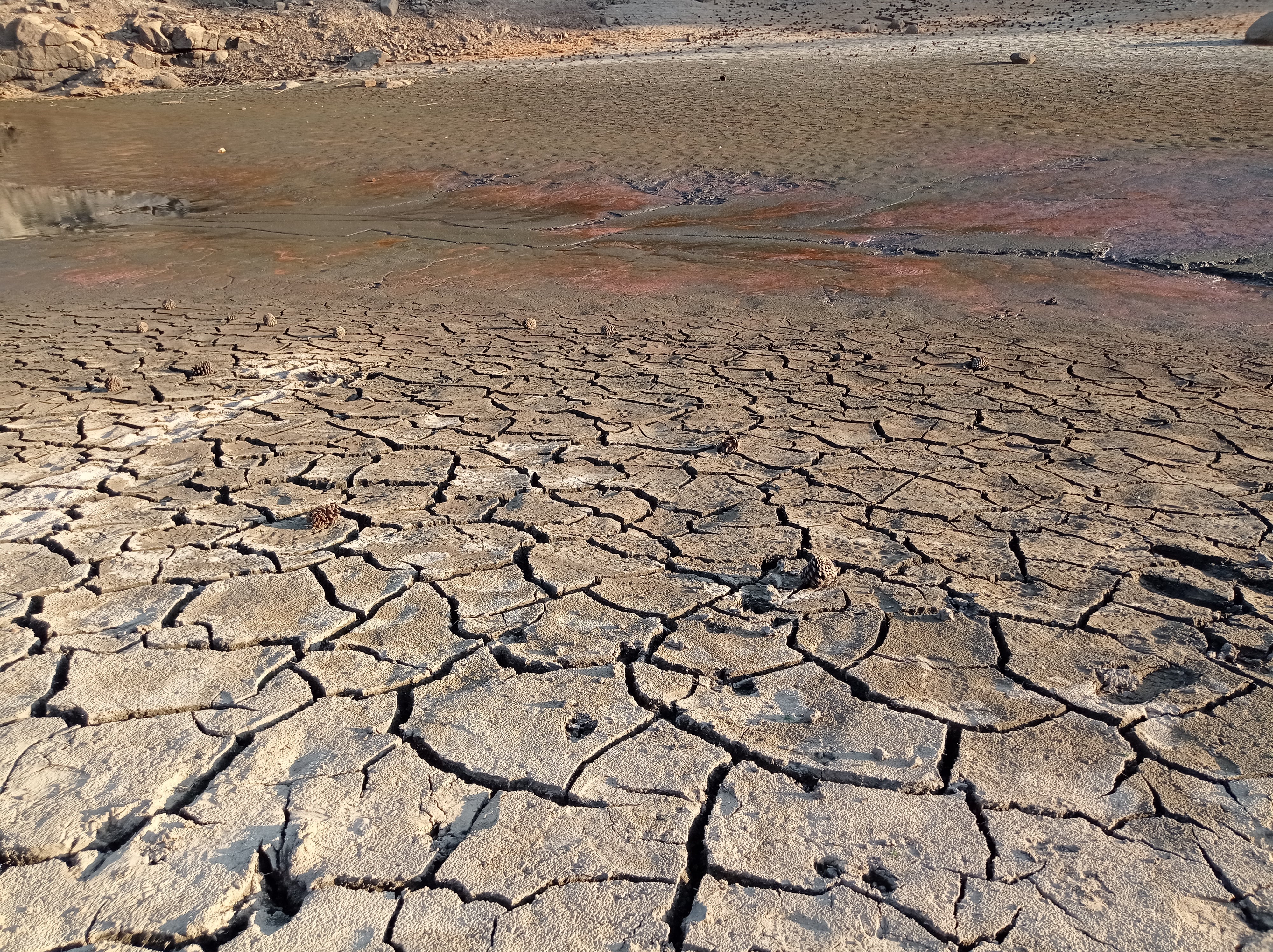 La sequía provoca una situación critica en los embalses de Palencia