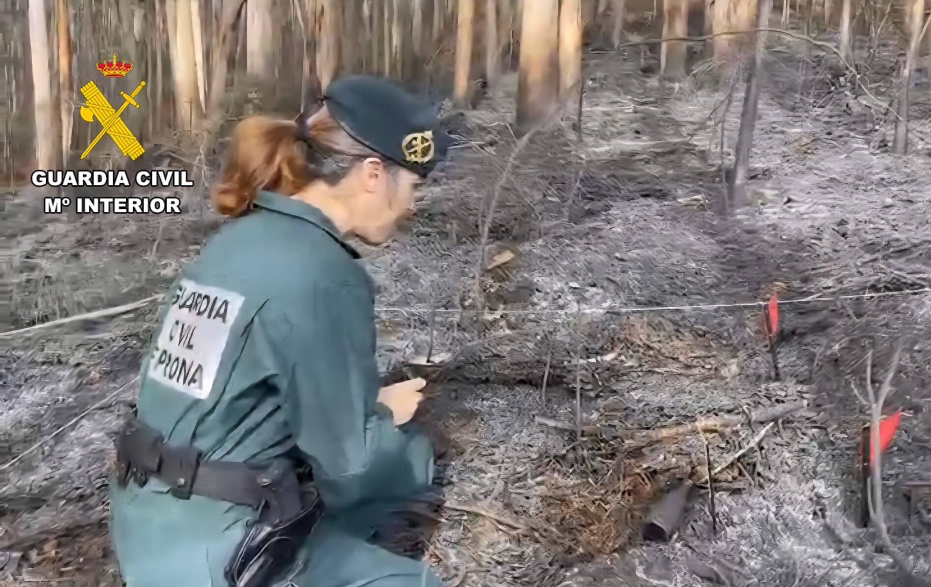 El Seprona investiga el origen de cada incendio declarado en León