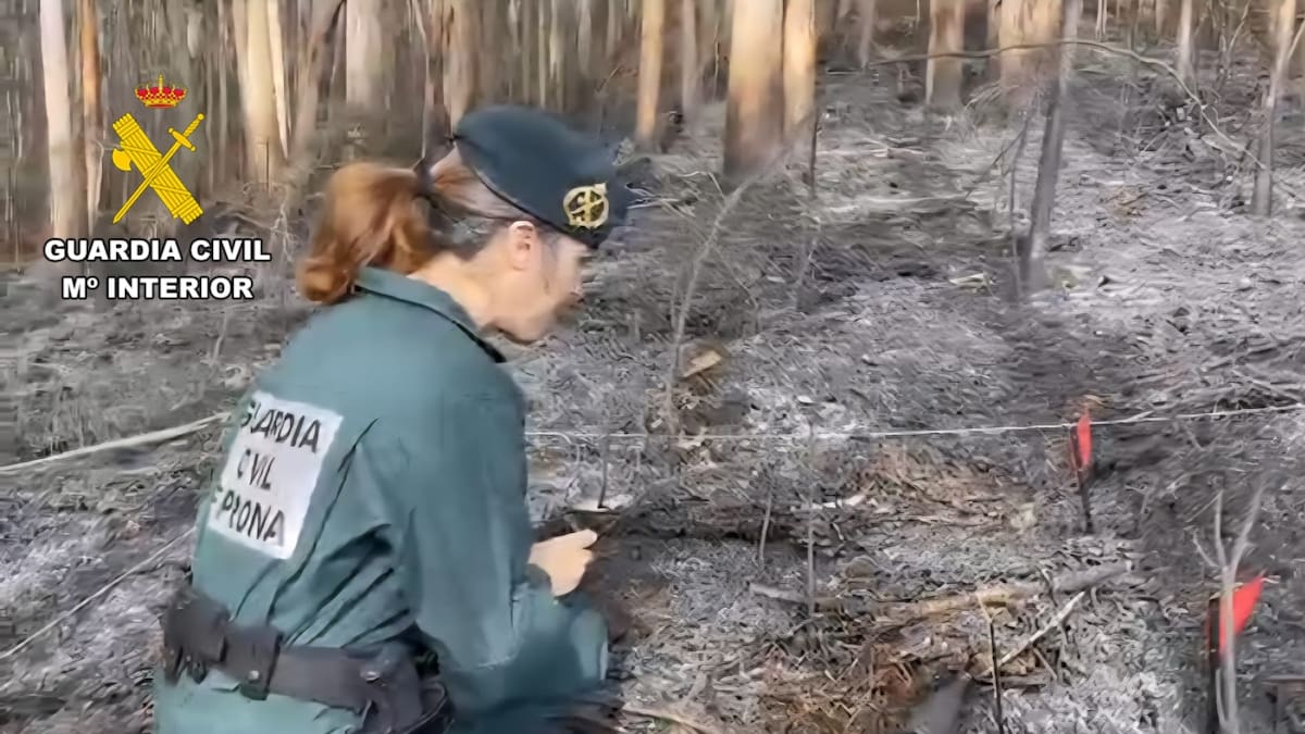 A la caza del pirómano: los investigadores niegan que haya tramas organizadas tras los incendios forestales