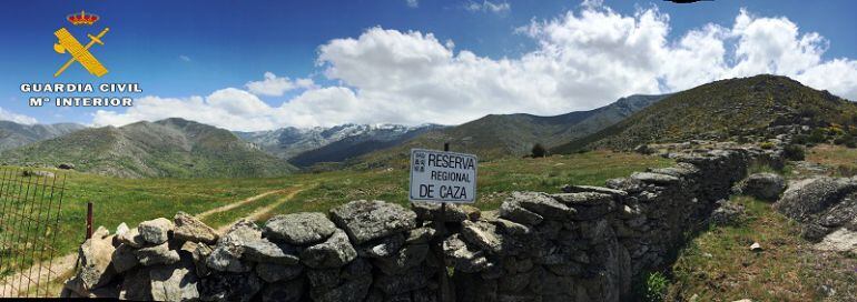 La Sierra de Gredos, objetivo de los cazadores furtivos