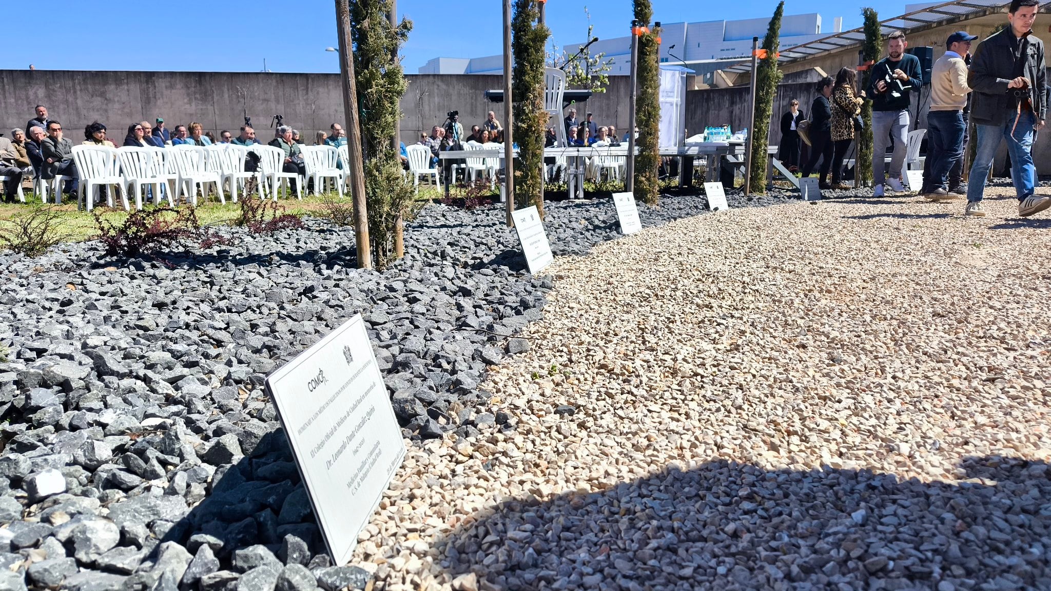 Siete cipreses recuerdan a los siete médicos que perdieron sus vidas durante la pandemia de COVID-19 en la provincia de Ciudad Real