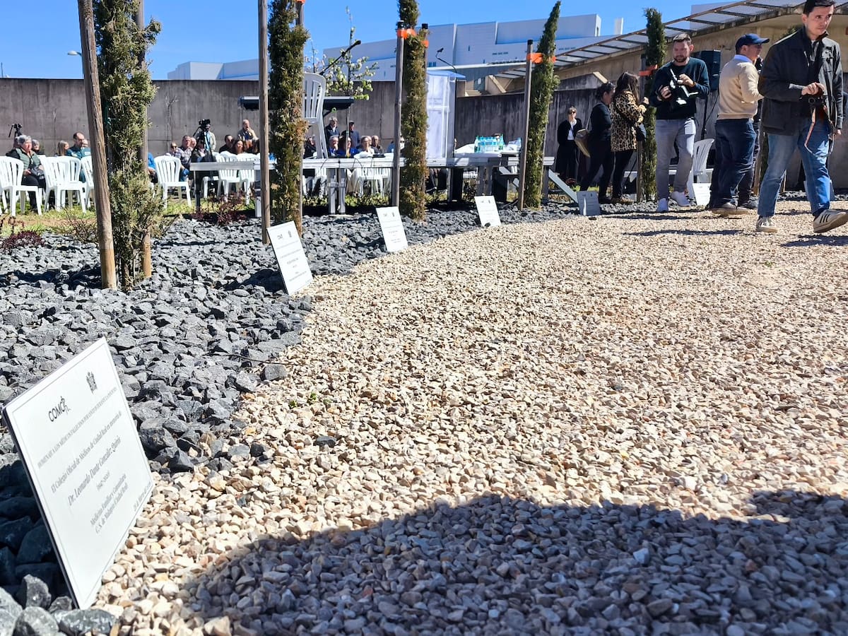 Siete cipreses junto al Hospital de Ciudad Real recuerdan a los médicos fallecidos por COVID-19 en la provincia