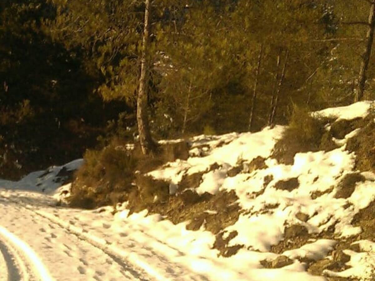 Los vecinos de Centenera llevan cinco días aislados por la nieve