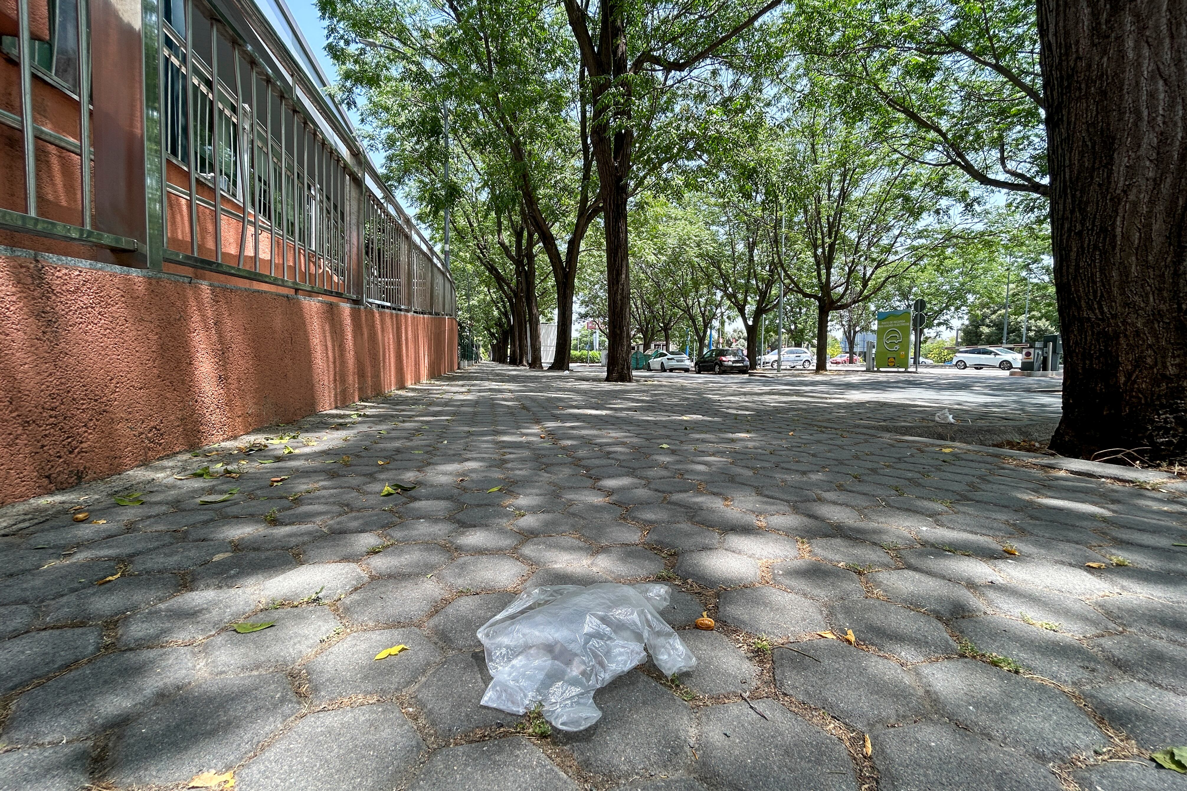 SEVILLA, 07/06/2025.- Imagen de la calle Aviación de Sevilla, donde este sábado era asesinado un joven de unos 20 años junto a una discoteca, en un suceso que investiga la Policía Nacional. EFE/Fermín Cabanillas