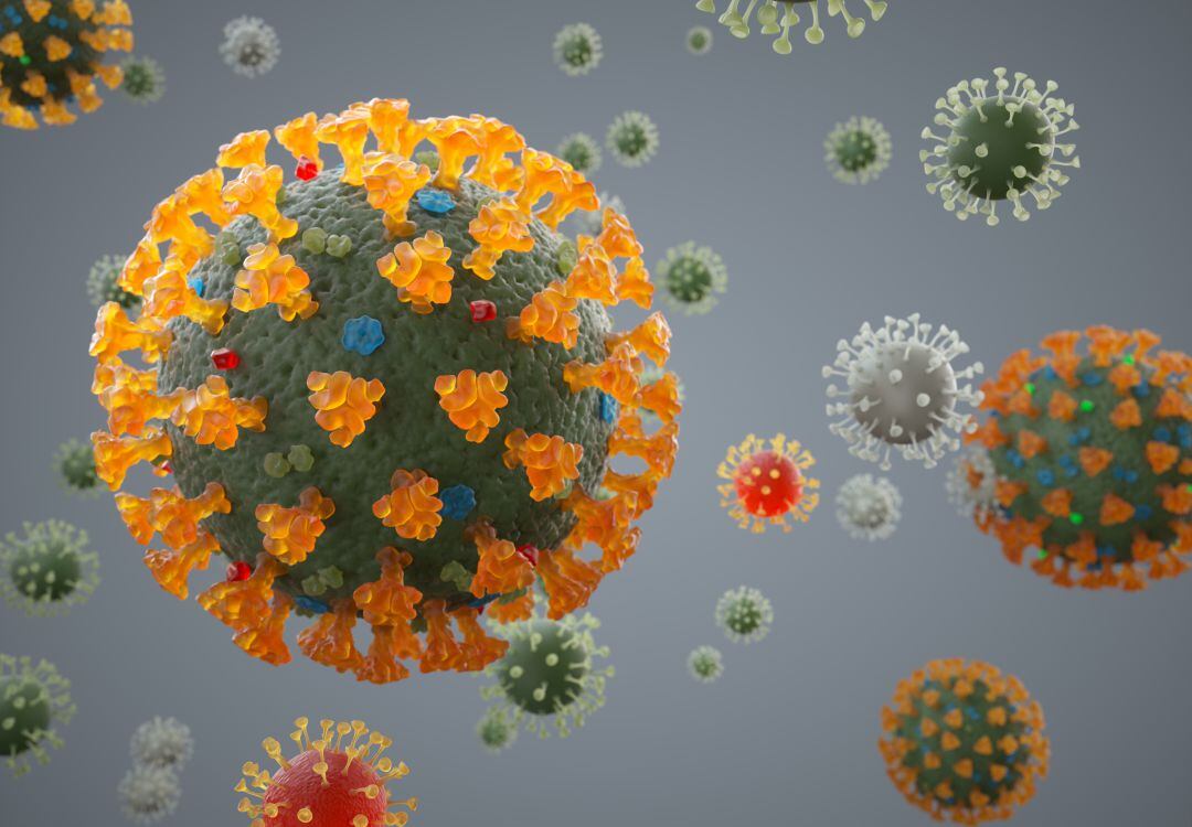 Nuevos positivos por coronavirus