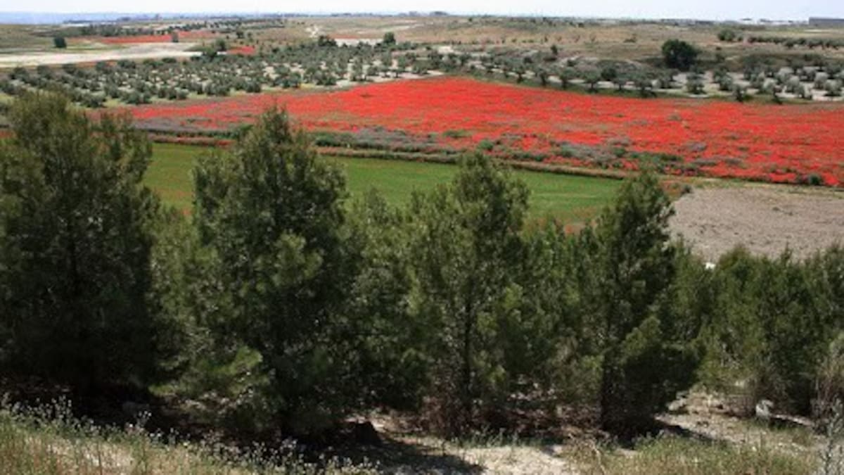 Entrevistamos a Julio Martín de Eugenio de Ecologistas en Acción-El Espartal de Valdemoro