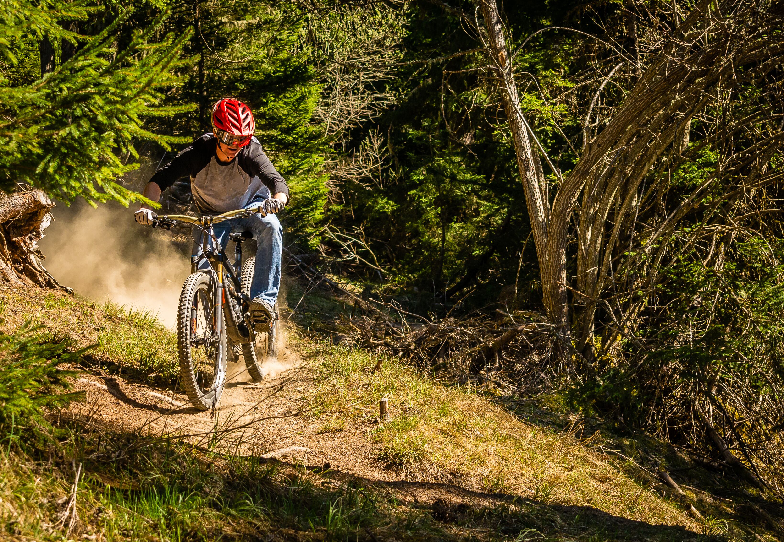 Bici de montaña