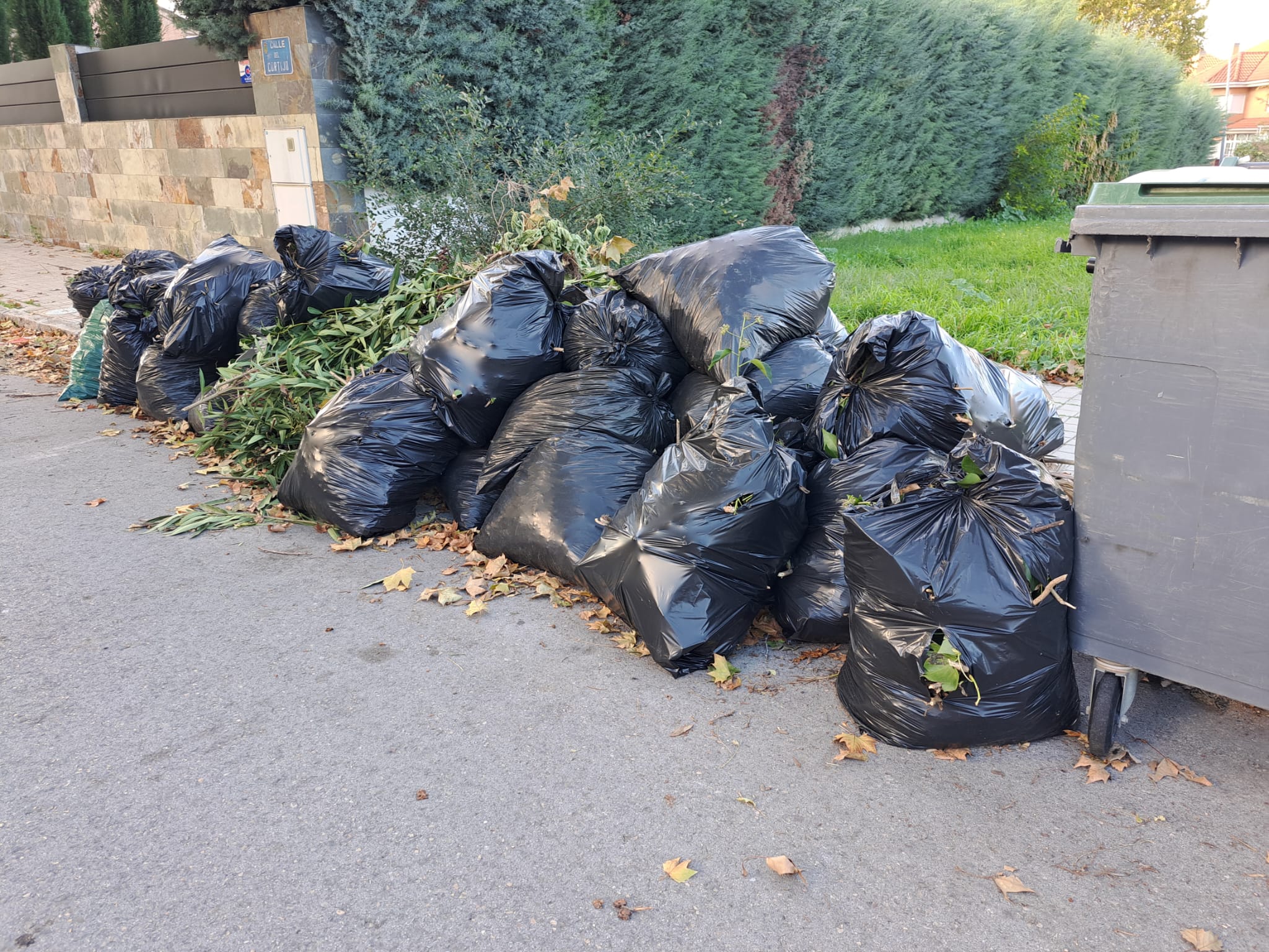 Residuos acumulados en una de las calles de Villaviciosa de Odón