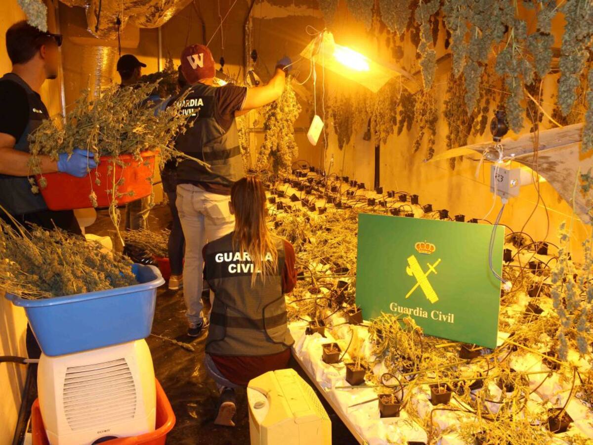 La Guardia Civil ha intervenido más de 1.700 plantas de marihuana en el interior de un local industrial en Irún