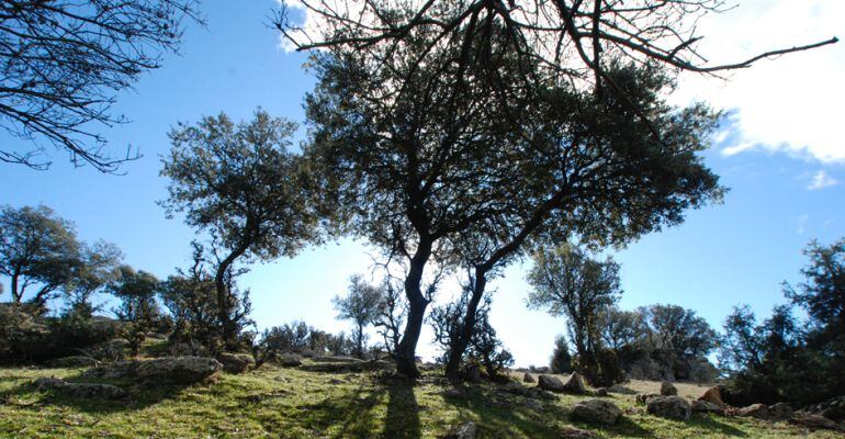 Paraje de Colmenar Viejo