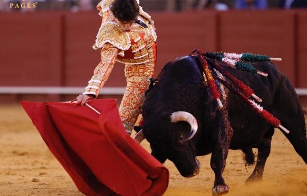 Muletazo de Antonio Grande al sexto novillo de la tarde