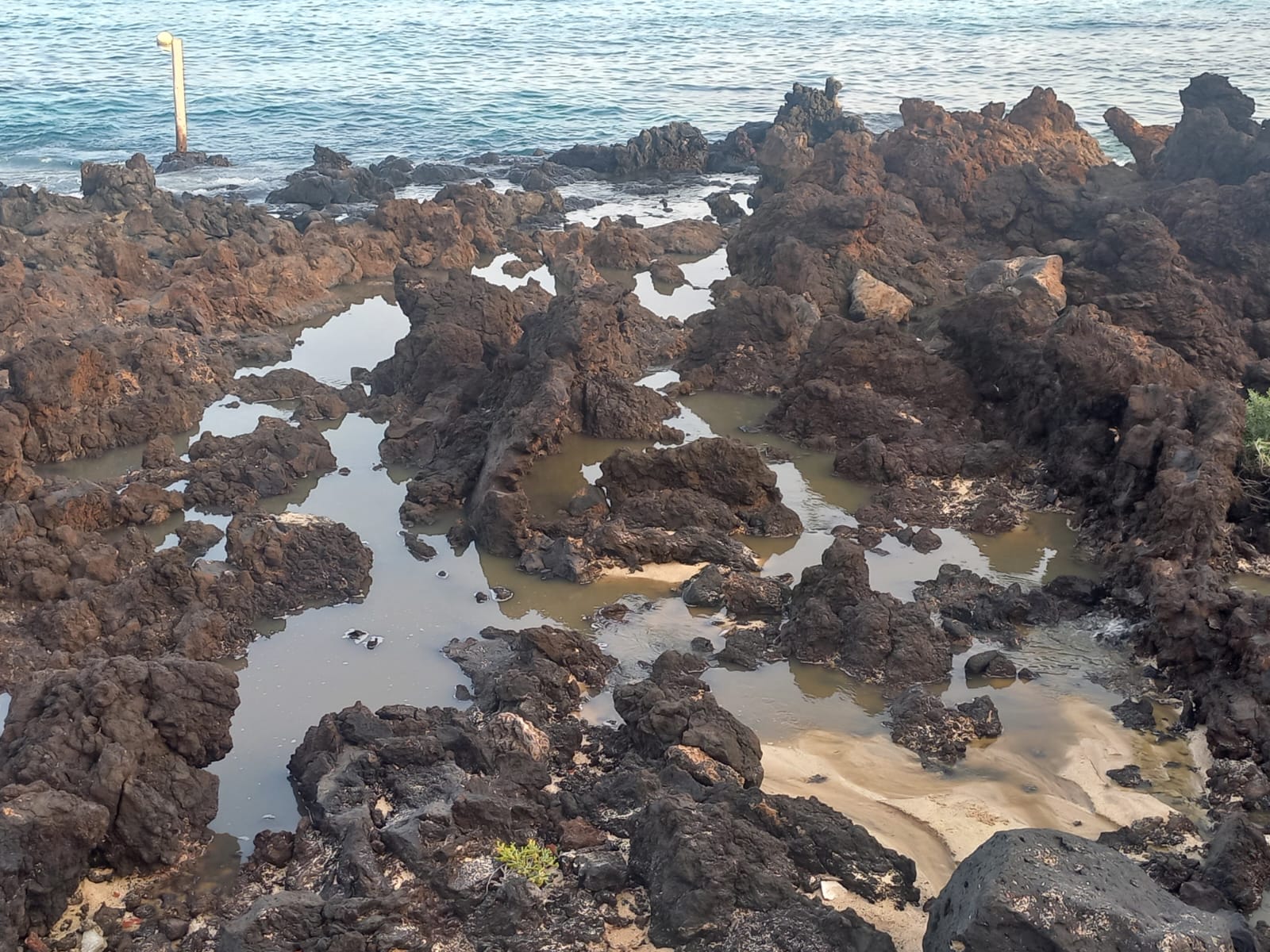 Vertidos de aguas fecales en la costa de Punta Mujeres, en el municipio lanzaroteño de Haría.