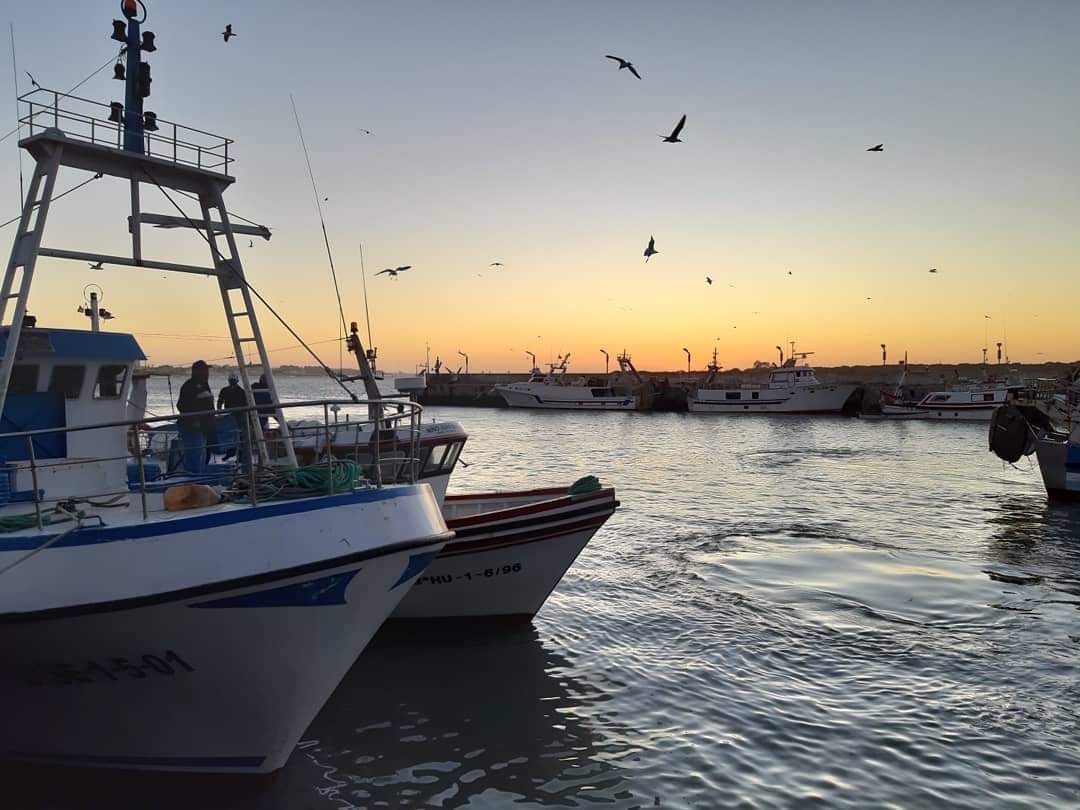 Embarcaciones llegando al puerto de Bonanza