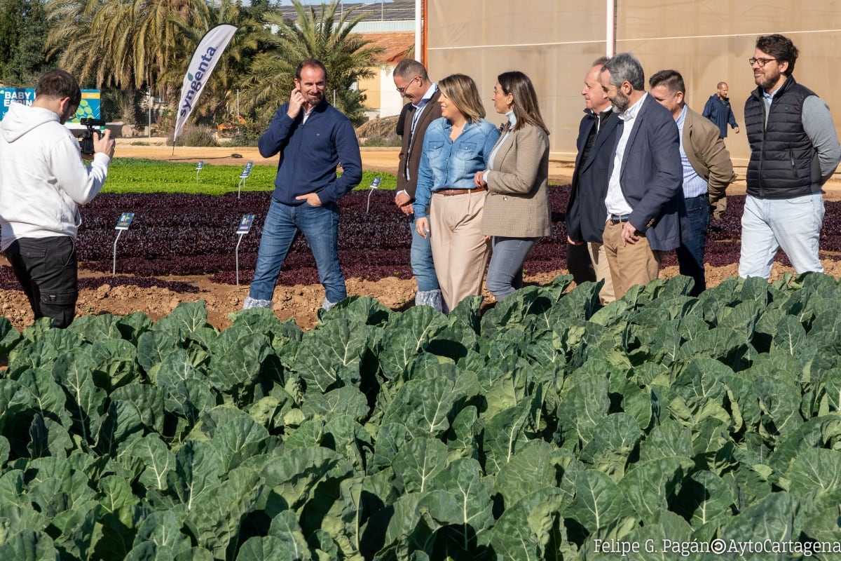 El Ayuntamiento abre la oficina agraria en El Regidor y prepara un protocolo con la CARM para agilizar trámites