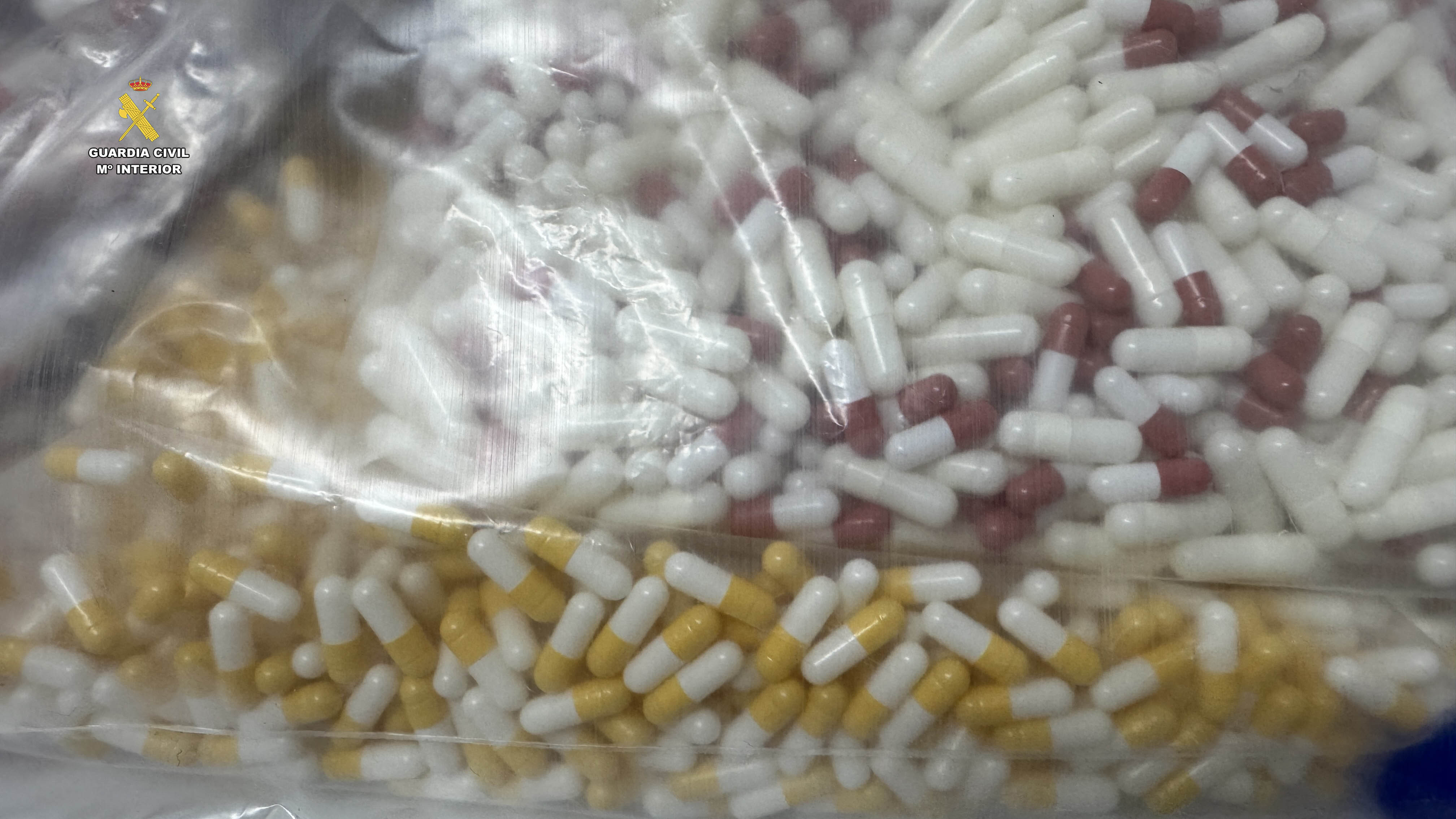 Los dos laboratorios desmantelados disponían de los equipos necesarios para elaborar speed y cultivar marihuana, con el fin de distribuir estas sustancias de manera profesional