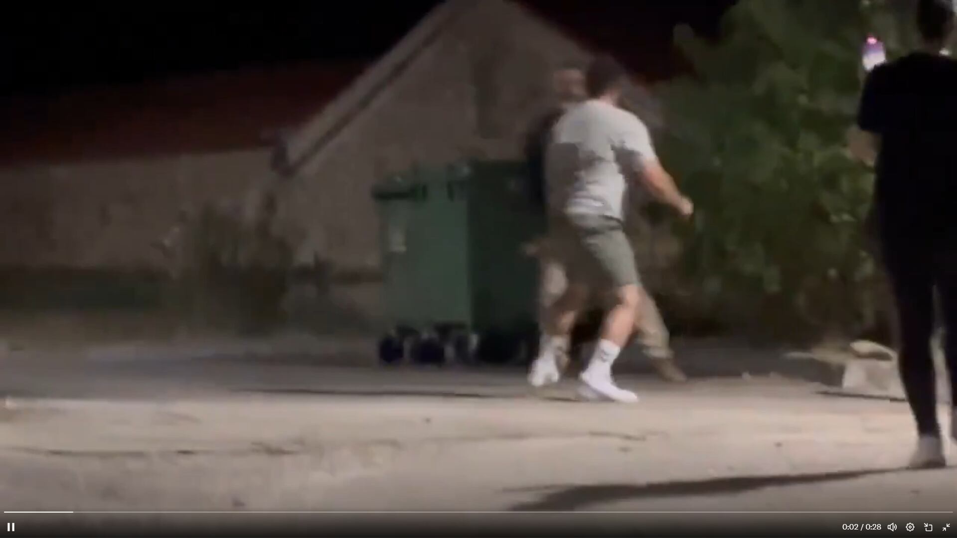 Captura de pantalla del video publicado en redes (X) por los agresores