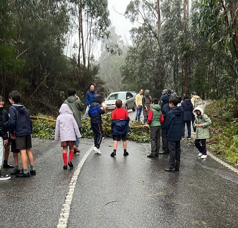 Escolares de Nigrán atrapados por la caída de un árbol en la carretera