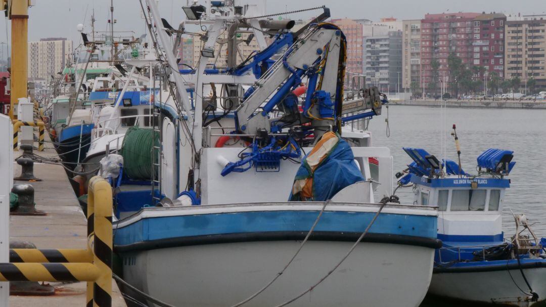 Pesqueros en el puerto de Algeciras