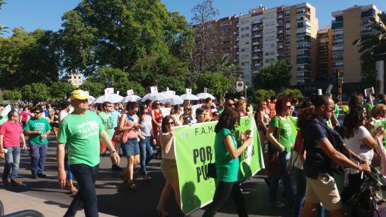 La manifestación de la &quot;Marea Verde&quot; en Teniente Flomesta