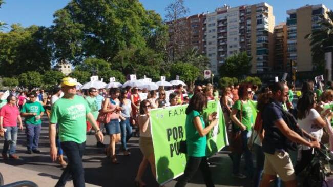 La manifestación de la "Marea Verde" en Teniente Flomesta