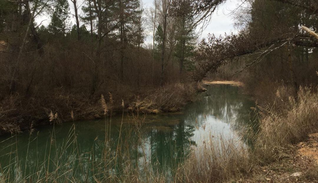 El río Júcar a su paso por el Chantre