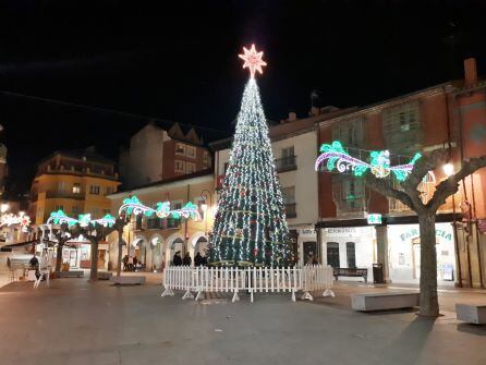 El tradicional árbol con girnaldas de luces vestirá un año más la Plaza Mayor.