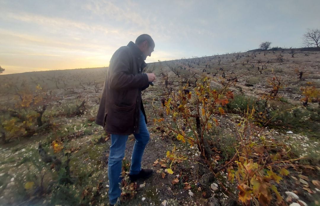 José Ignacio Junguitu declarándose a un viñedo de Rioja Alavesa