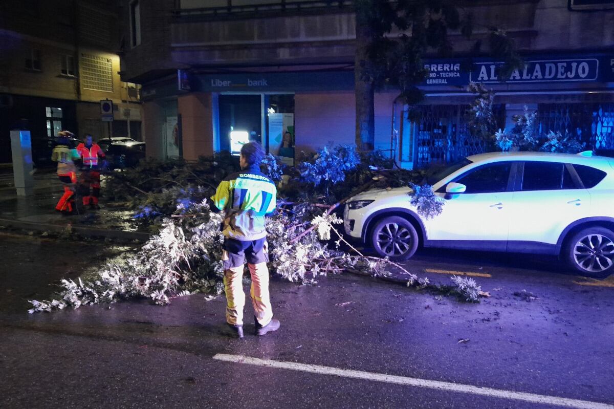 Una caída de ramas en la calle Ángel Bruna