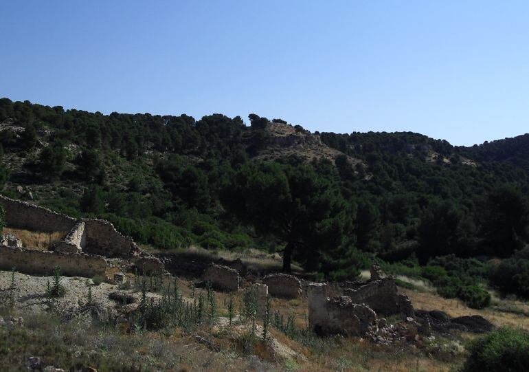 La Sierra Procomunal de Chinchilla será una de las beneficiadas de estas ayudas en montes públicos