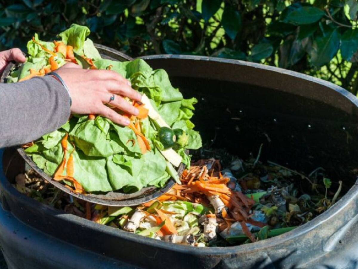 Cero desperdicio a golpe de click