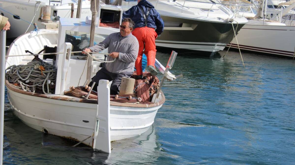 Más de 400 kilos de gerret para poner sabor al fin de semana