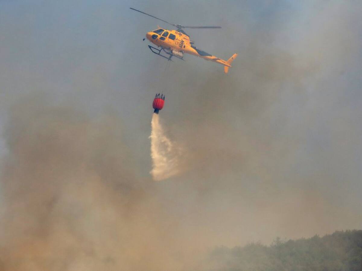 Estabilizado un incendio en un monte de encinas y pinos de Astudillo