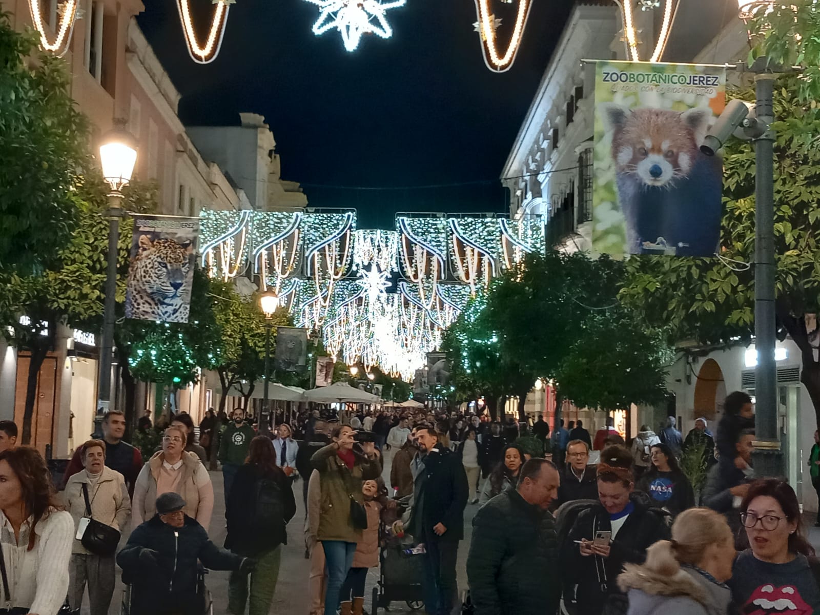 La calle Larga con la iluminación de Navidad, Jerez