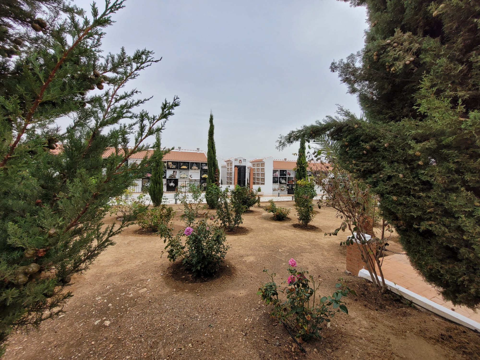 Cementerio de Teba, en la provincia de Málaga