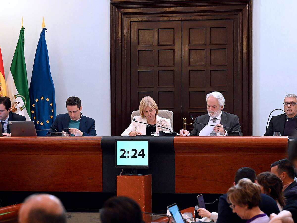 El Ayuntamiento de Jerez destinará 17 millones de euros que ha recibido del Gobierno para pagar su deuda con los bancos