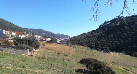 Paisaje de Solana del Pino