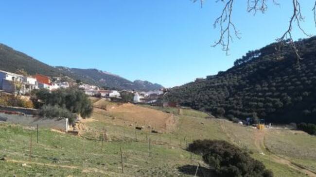 Paisaje de Solana del Pino