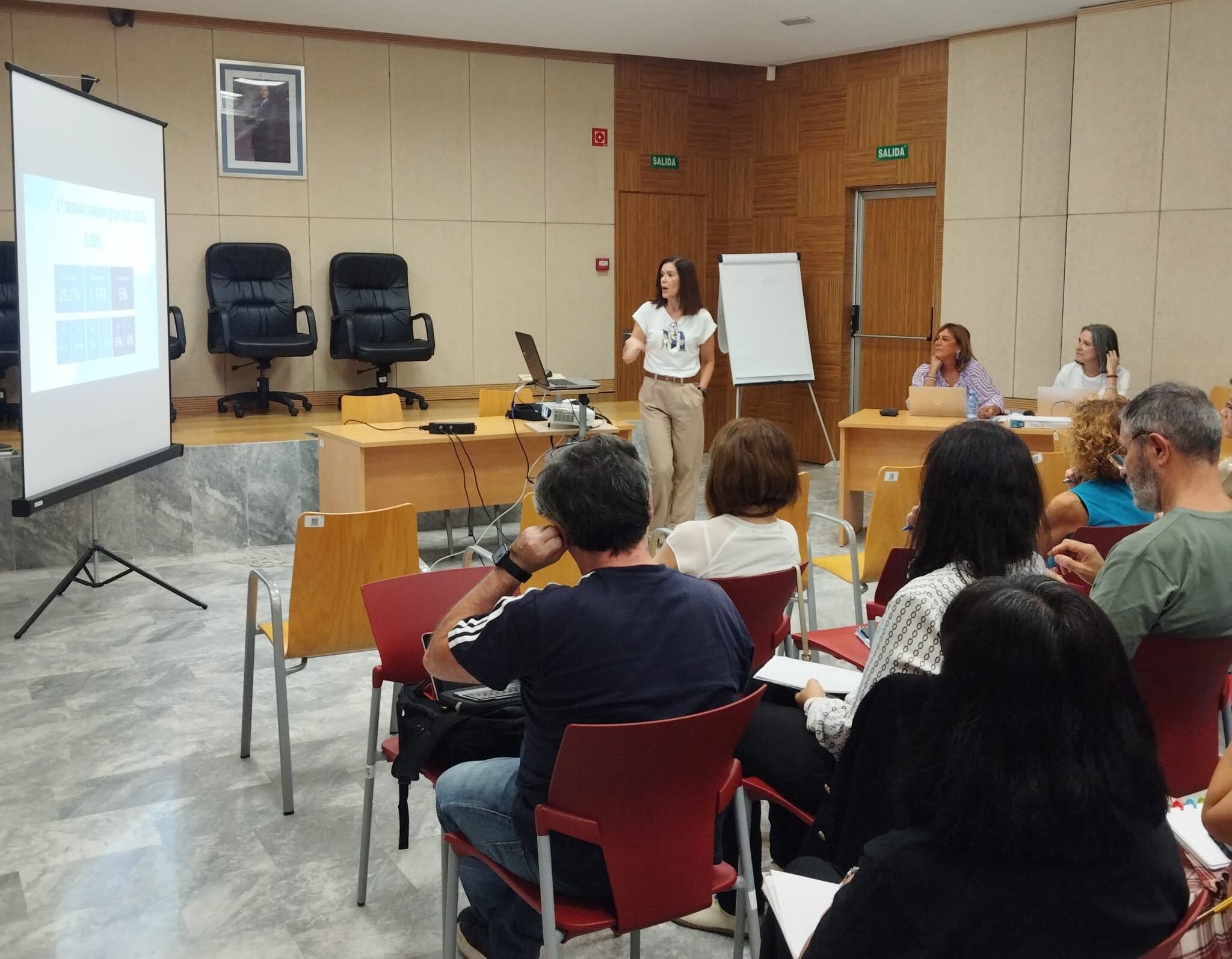 Comité de Seguridad y Salud del SMS